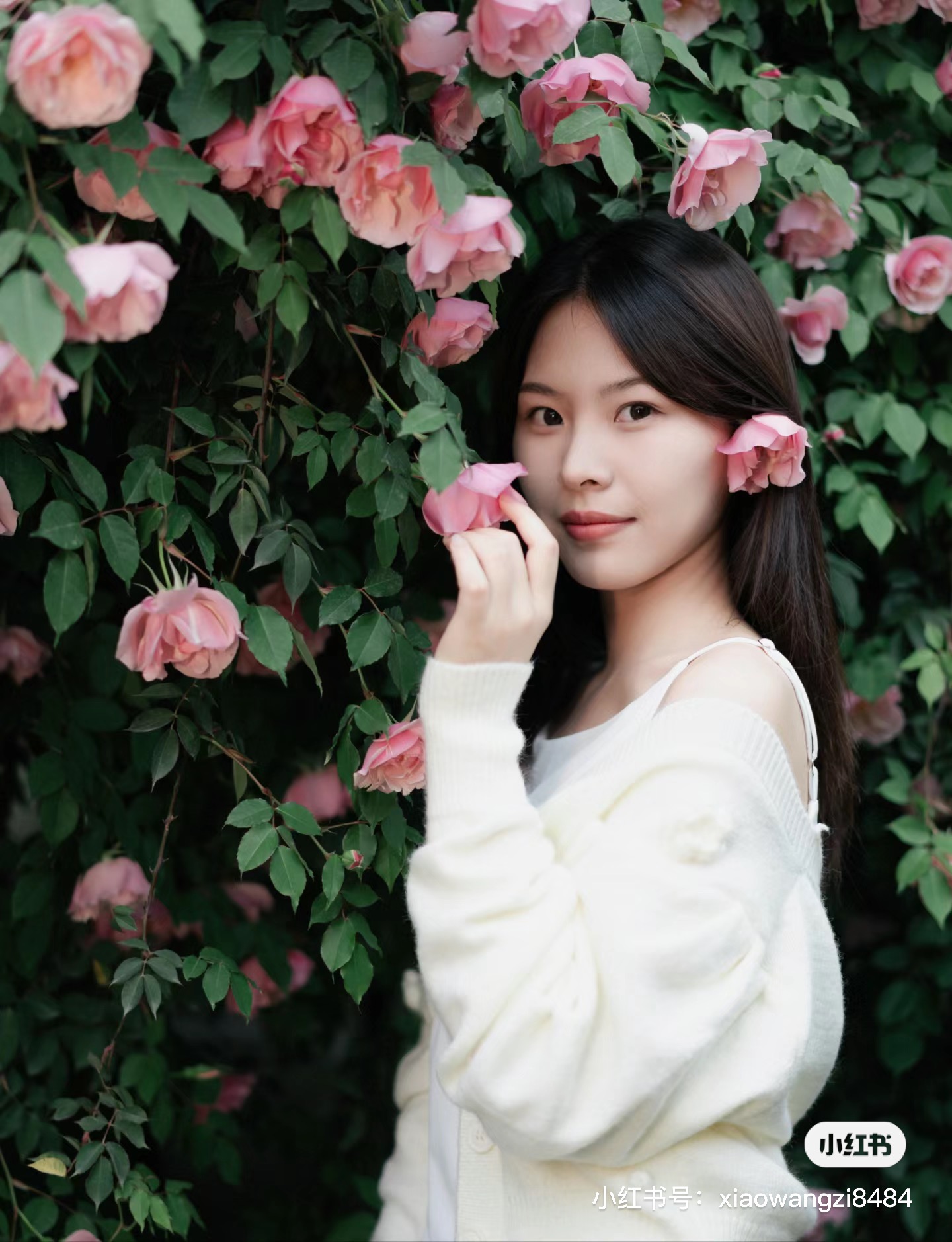 image-20240419075111894